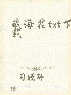 藏海花txt下载