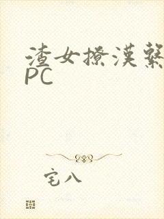 渣女撩汉系统NPC