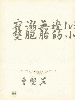 宠溺无边1v3双胞胎的小说