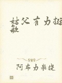 姑父有力挺送赵敏