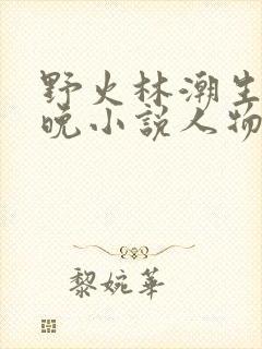 野火林潮生林晚晚小说人物野火