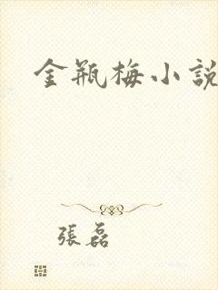 金瓶梅小说在线