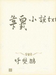 告白小说txt下载