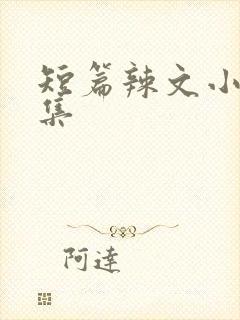 短篇辣文小说合集