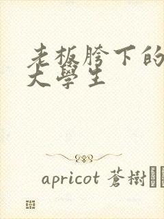 老板胯下的秘书大学生