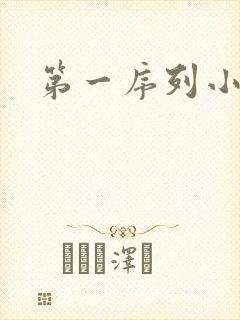 第一序列小说