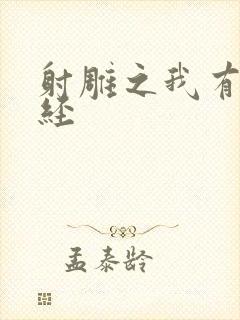 射雕之我有太玄经