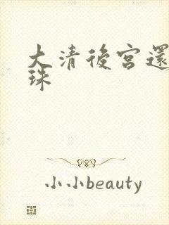 大清后宫还君明珠