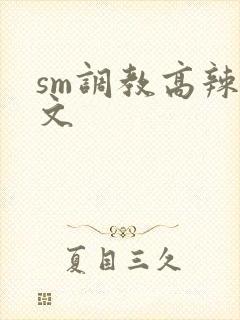 sm调教高辣h文