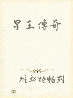 星王传奇