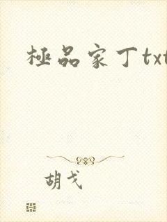 极品家丁txt