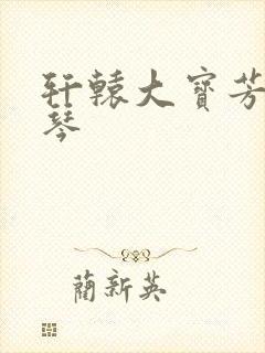 轩辕大宝芳菲雅琴