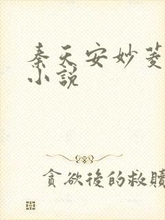 秦天安妙菱修仙小说