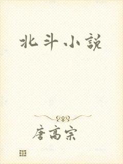 北斗小说