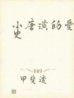 小唐璜的爱情历史