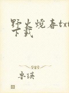 野火烧春txt下载