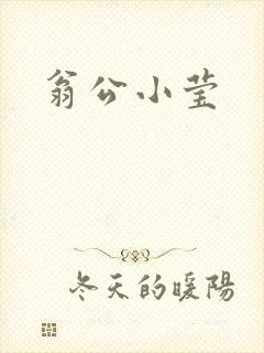 翁公小莹