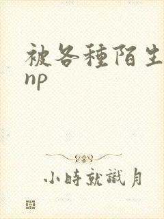 被各种陌生人 np