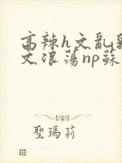 高辣h文乱乳h文浪荡np苏夏