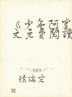 《少年阿宾》全文免费阅读