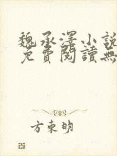 魏承泽小说全文免费阅读无弹窗笔趣