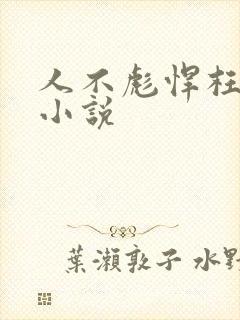 人不彪悍枉少年小说