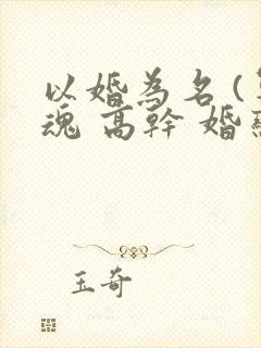 以婚为名 (军魂 高干 婚恋)