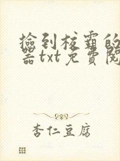 捡到校霸的遥控器txt免费阅读