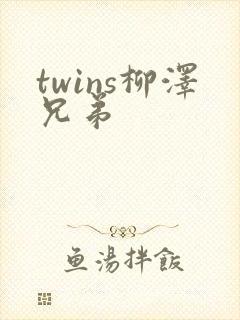 twins柳泽兄弟