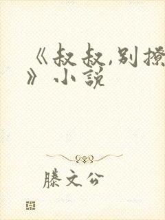 《叔叔,别撩我》小说