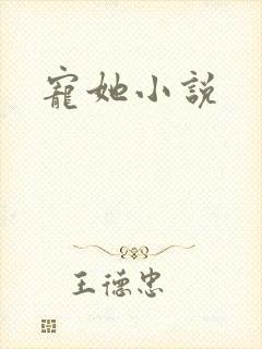 宠她小说