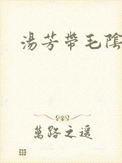 汤芳带毛阴部