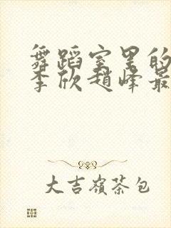 舞蹈室里的景色李欣赵峰最新章节