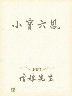 小宝六凤