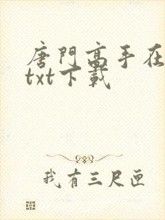 唐门高手在异世txt下载