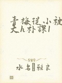 青梅从小被c到大h补课1