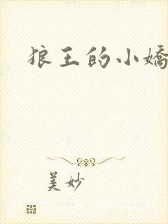 狼王的小娇妻