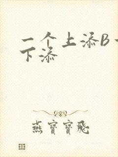 一个上添B一个下添