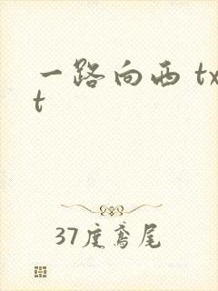 一路向西 txt