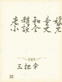 老赵和童媛媛的小说全文免费阅读