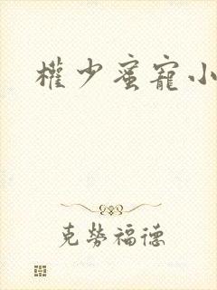 权少蜜宠小娇妻