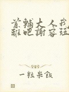 首辅大人我们和离吧谢容珏