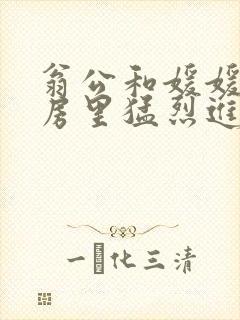 翁公和媛媛在厨房里猛烈进出