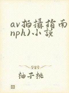 av拍摄指南(nph)小说