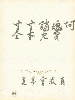 寸寸销魂何生祥全本免费