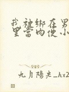 我被绑在男公厕里当肉便小说