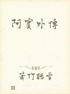 阿宾外传