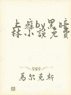 上瘾by黑暗森林小说免费