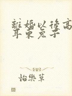 离婚以后高干 耳东兔子