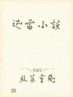 迅雷小说